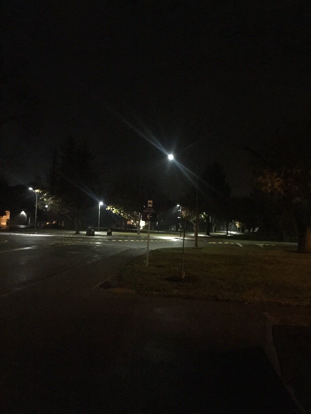 davis-night