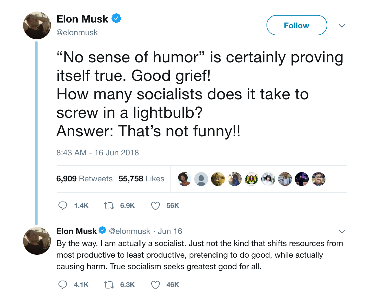 elon-socialist