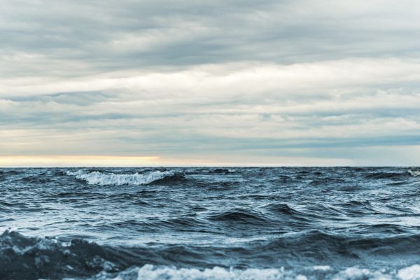 The Ocean