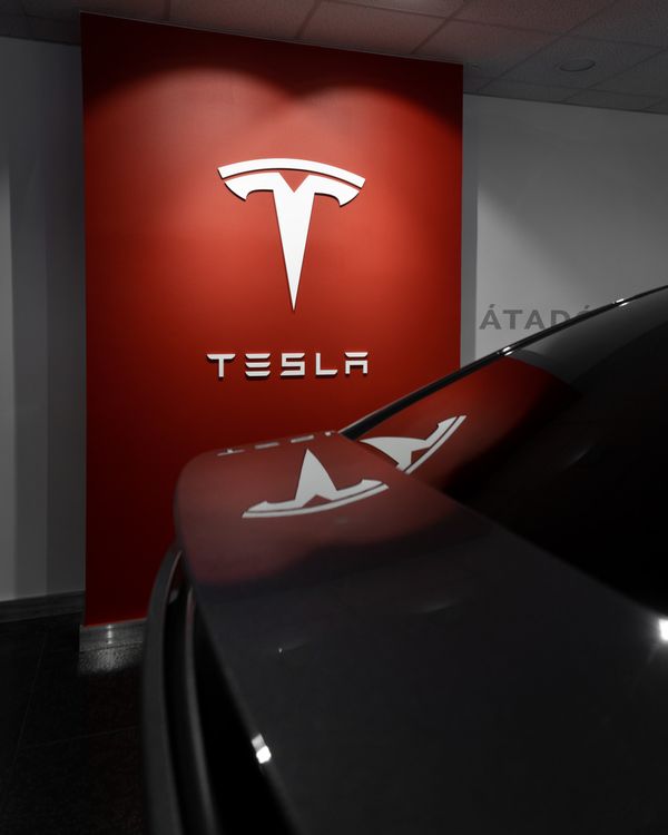 Elon Musk's Ideology